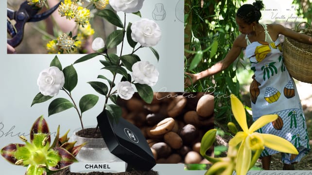 Inside Chanel’s open-sky labs around the world, where precious skincare ingredients are harvested