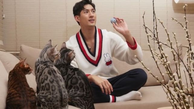 Actor Ayden Sng thought his house was haunted because his cats kept meowing at the ceiling