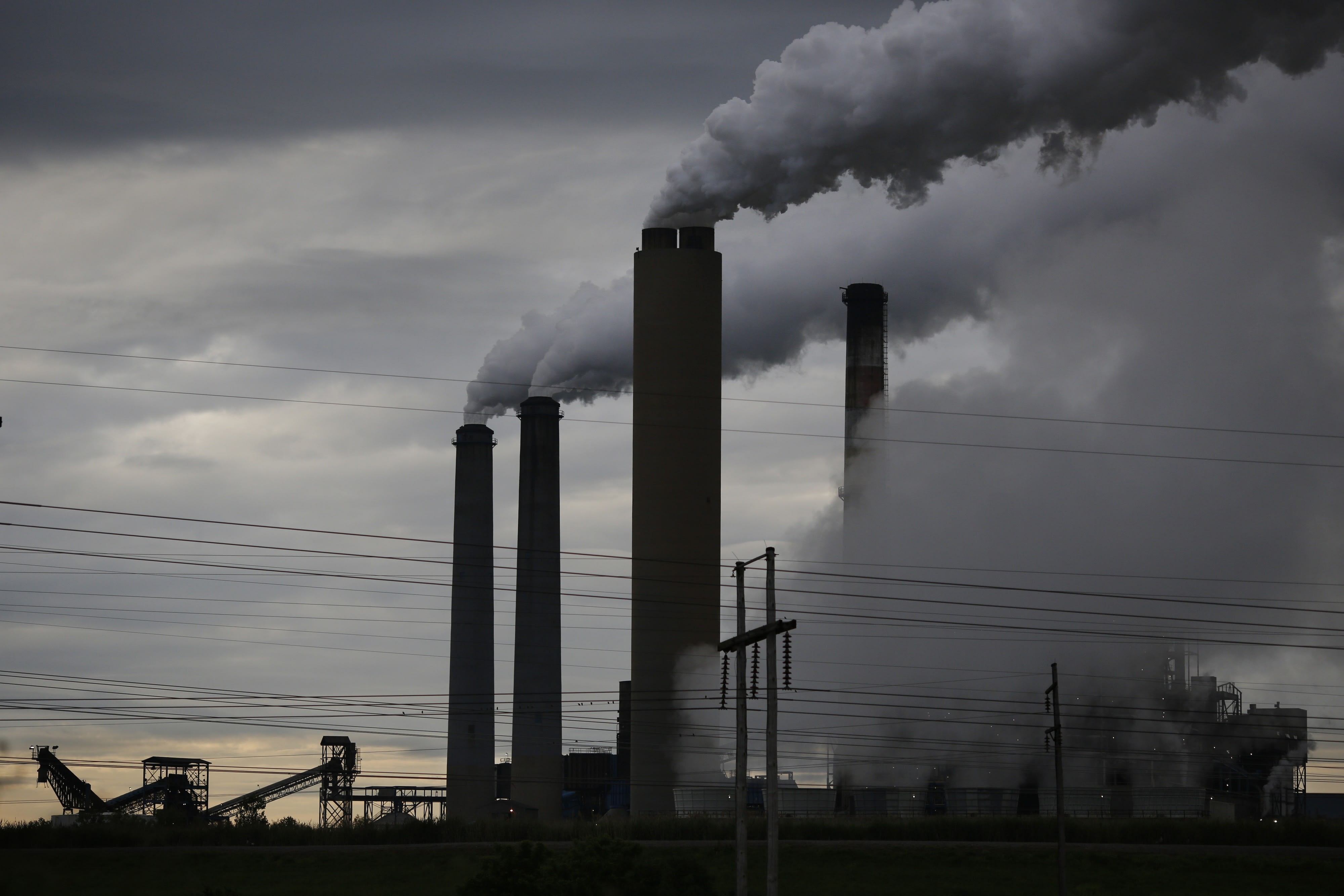 The Members of Parliament will also suggest publishing a catalogue of firms with low or reduced carbon emissions to encourage other firms to adopt sustainable practices. The Members of Parliament will also suggest publishing a catalogue of firms with low or reduced carbon emissions to encourage other firms to adopt sustainable practices.