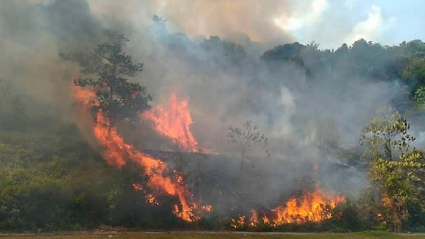 Forest fire in Johor spreads to 98 hectares Forest fire in Johor spreads to 98 hectares