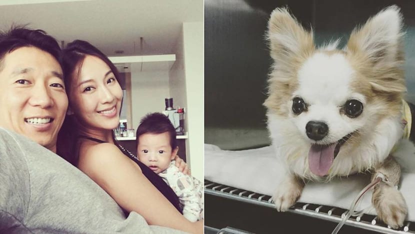 Sonia Sui suffers dog scare