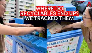 Where do recyclables go after they're put in blue recycling bins? We tracked them | Video