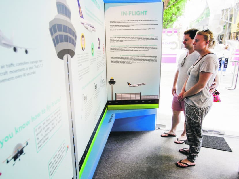 The theory of flight