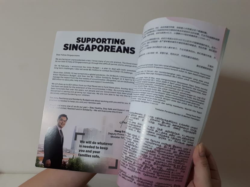 A copy of the Budget 2020 booklet that the Ministry of Finance sent to households. A copy of the Budget 2020 booklet that the Ministry of Finance sent to households.