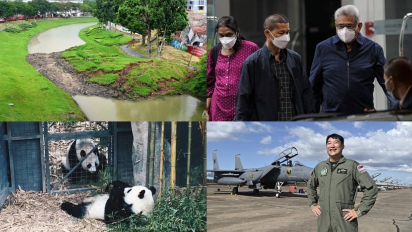 Daily round-up, Sep 2: Landslide at Clementi BTO construction site; former Sri Lankan president to return home; Singapore's giant pandas to extend stay