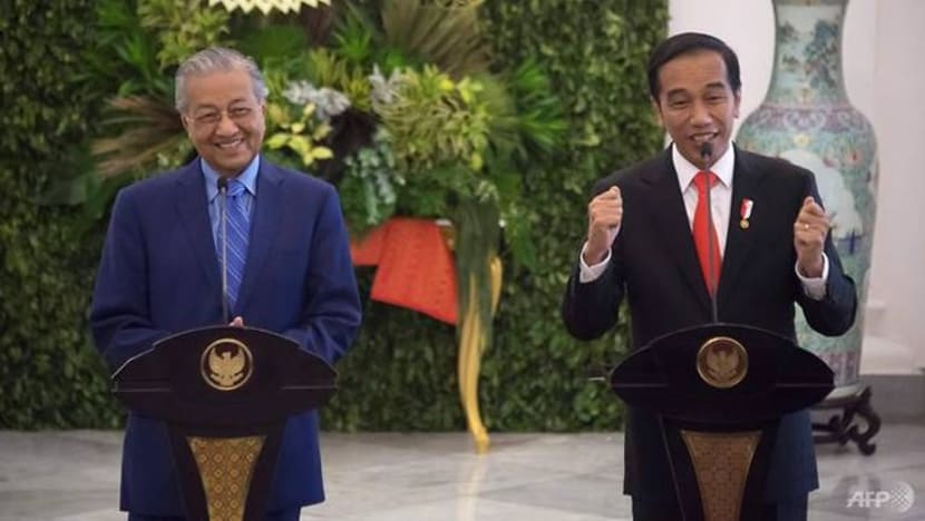 Indonesia, M'sia perlu tangkis tekanan EU ke atas industri kelapa sawit, kata Dr Mahathir