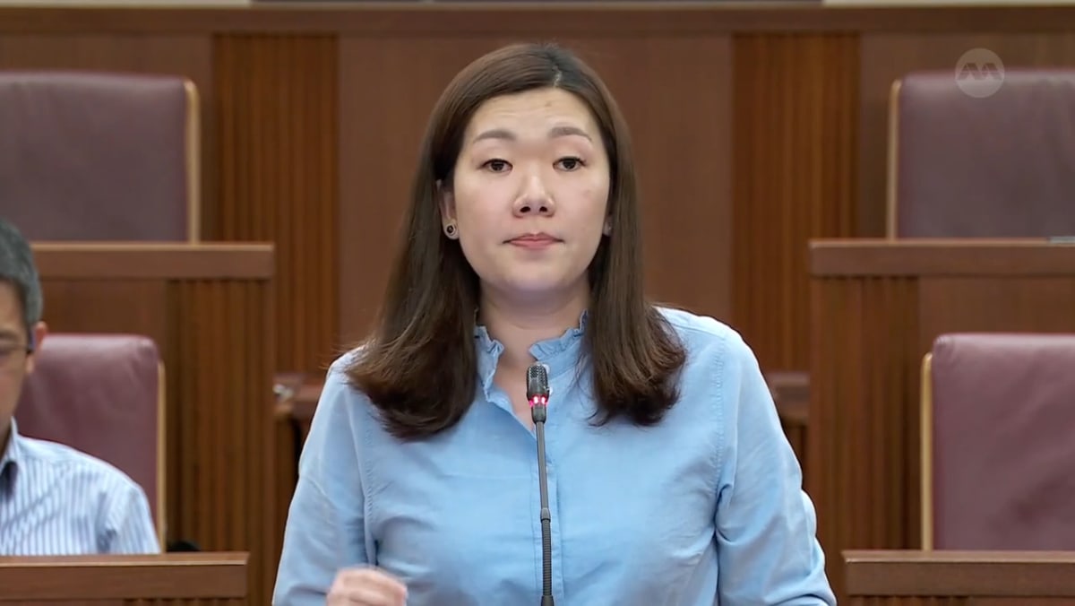 Budget 2023 debate: Hany Soh on building a Singapore made for families