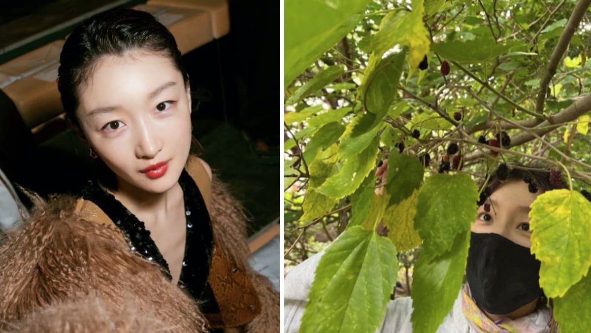 Chinese Actress Zhou Dongyu Called Inconsiderate For Plucking