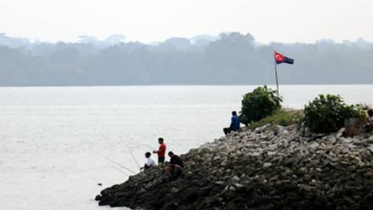 Aktiviti penambakan di pantai Lido punca ikan mati - Berita Mediacorp