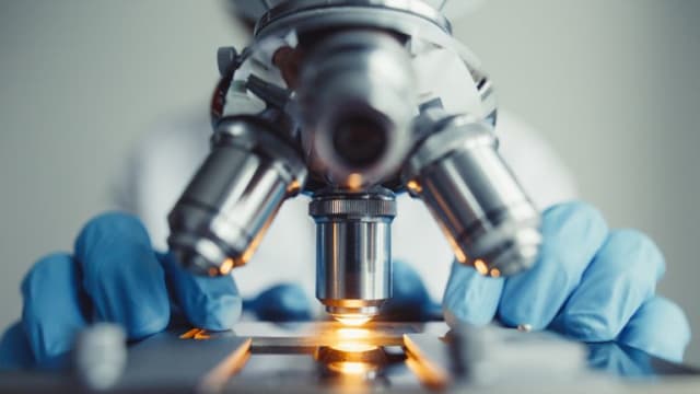 日本科学家找出疼痛神经传递特征蛋白质