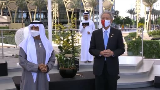 Orkid kacukan baru dilancarkan sempena Ekspo 2020 Dubai