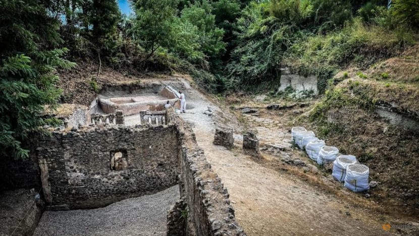 Well-preserved skeleton sheds light on culture in ancient Pompeii Well-preserved skeleton sheds light on culture in ancient Pompeii