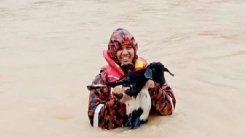 Gambar Pilihan Hari Ini Gambar Pilihan Hari Ini