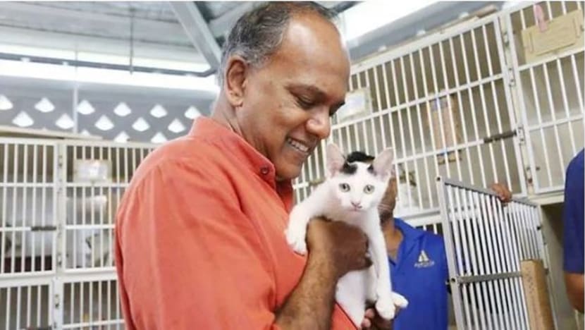Lee Bee Wah 'tidak menentang' beri makan secara bertanggungjawab kepada kucing: Shanmugam