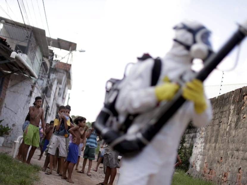 Children react near a municipal worker spraying insecticide at the neighbourhood of Imbiribeira in Recife, Brazil, Jan 26, 2016. Photo: Reuters