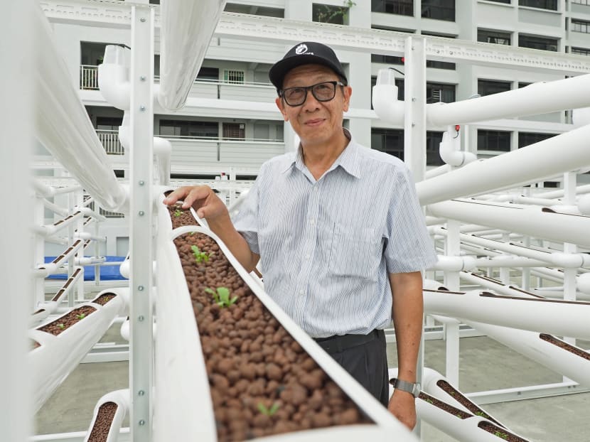 Mr Teo Hwa Kok, founder of Citiponics Farm, converted unused and unconventional spaces such as the rooftop of a multi-storey car park in Ang Mo Kio into an urban vertical farm that grows vegetables without soil.