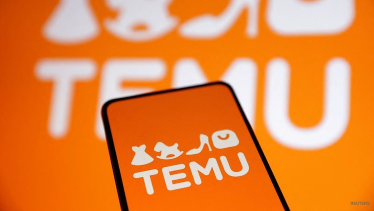 Temu, Shein suspend Vietnam operations amid crackdown on e-commerce platforms Temu, Shein suspend Vietnam operations amid crackdown on e-commerce platforms