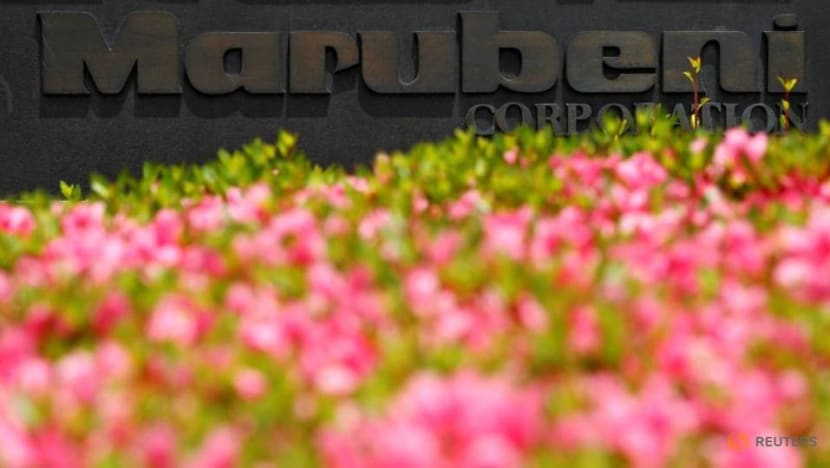 Japan traders' results a mixed bag as commodity rally offsets virus hit Japan traders' results a mixed bag as commodity rally offsets virus hit