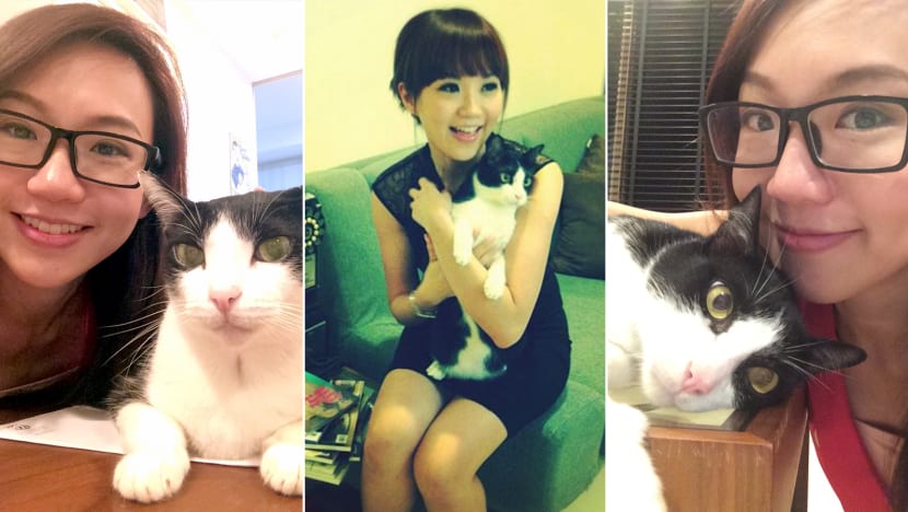 Furbulous Celebrity Meow Series: Lin Peifen’s four babies