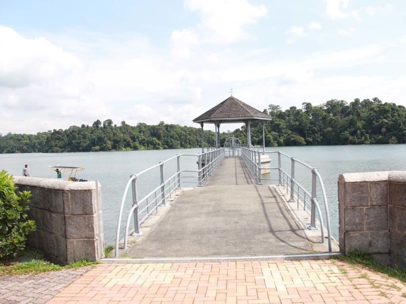 MacRitchie Reservoir. Singapore may face overcrowding on a scale not seen throughout much of the world, for the sake of keeping nature alive. TODAY file photo MacRitchie Reservoir. Singapore may face overcrowding on a scale not seen throughout much of the world, for the sake of keeping nature alive. TODAY file photo