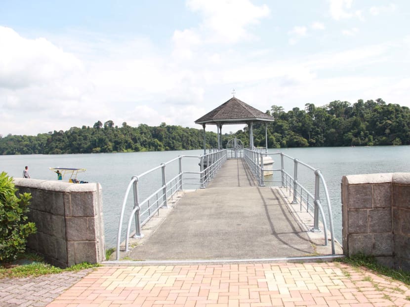 MacRitchie Reservoir. Singapore may face overcrowding on a scale not seen throughout much of the world, for the sake of keeping nature alive. TODAY file photo