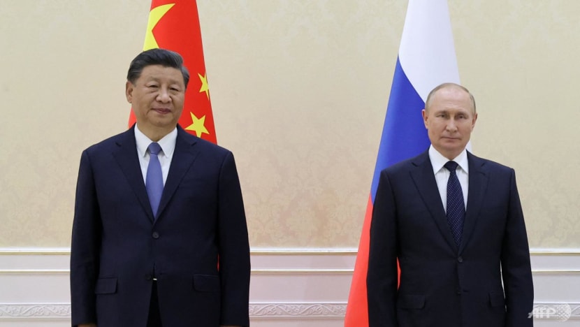 China's balancing act with Russia not easy to pull off: Analysts