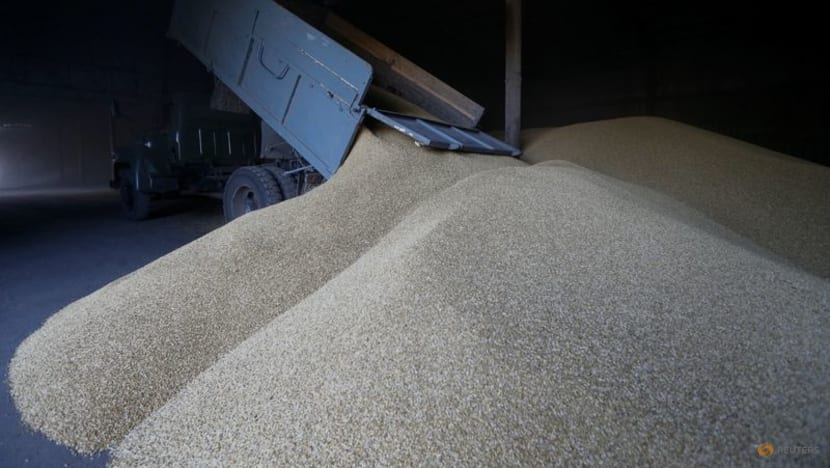 Ukraine says Russia stole 'several hundred thousand tonnes' of grain Ukraine says Russia stole 'several hundred thousand tonnes' of grain