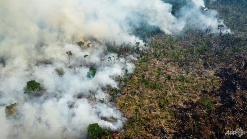 Rainforest giants Brazil, Indonesia, DR Congo sign deforestation pact Rainforest giants Brazil, Indonesia, DR Congo sign deforestation pact