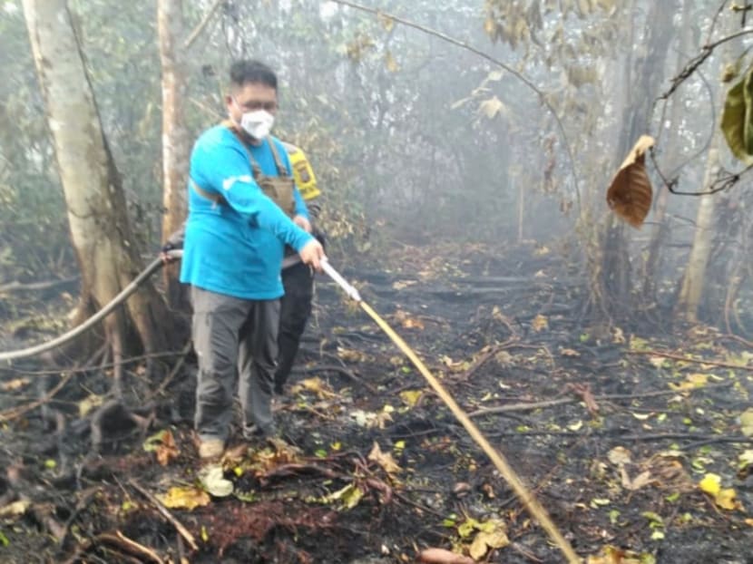 Singaporean Benjamin Tay (right) joined volunteer firefighters in Tanjung Sari village to help put out a peatland fire.