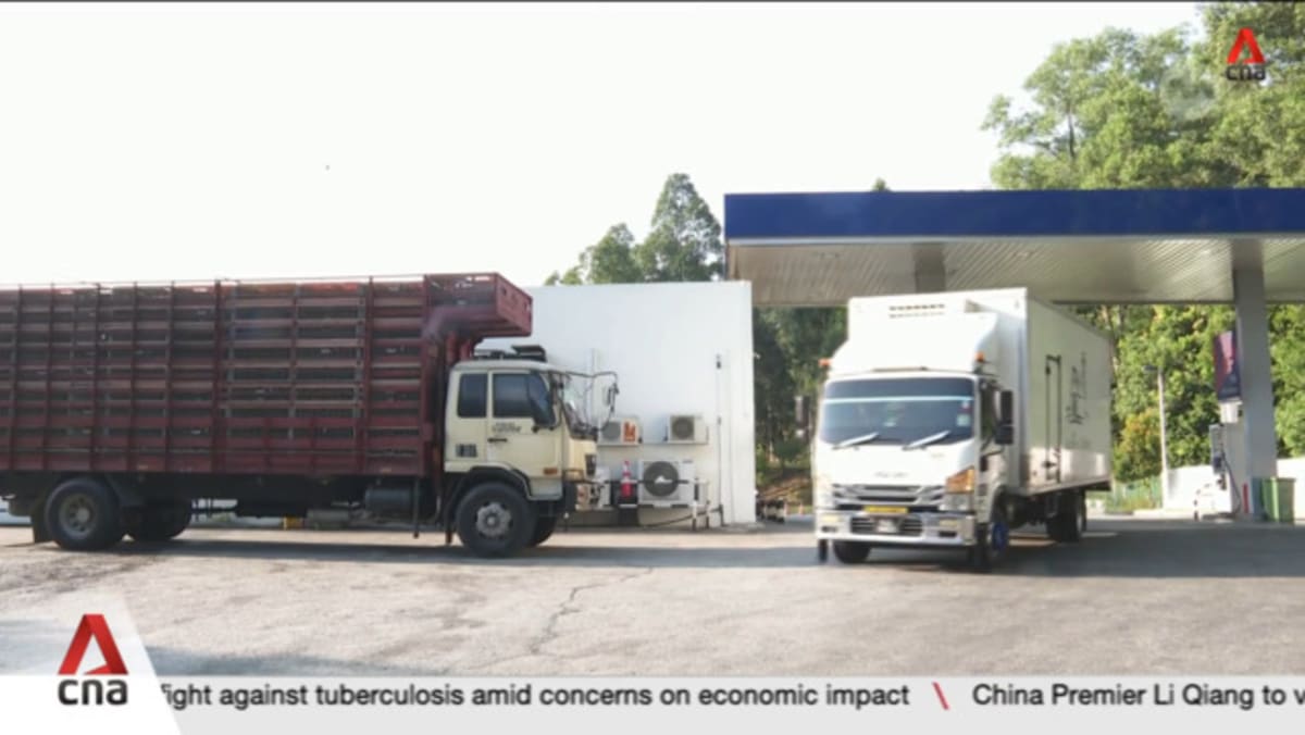 Diesel prices jump over 50% in Malaysia as blanket subsidies end