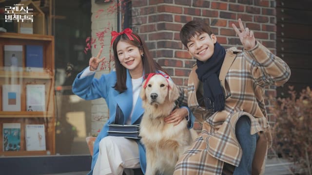 萌犬出没请注意！这些韩剧、韩综的汪星人比主角还吸睛