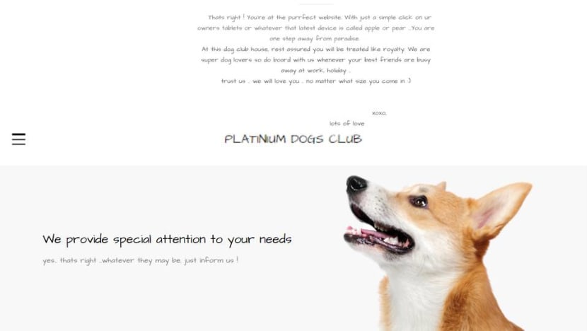 AVA investigates pet boarding service Platinium Dogs Club for alleged mistreatment AVA investigates pet boarding service Platinium Dogs Club for alleged mistreatment