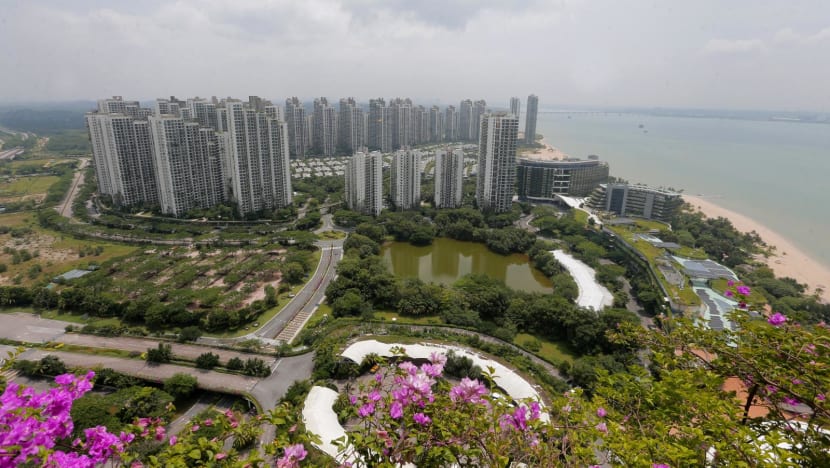 Analysis: Proposed SFZ in Johor’s Forest City requires political will and support from Malaysia, Singapore governments to take off Analysis: Proposed SFZ in Johor’s Forest City requires political will and support from Malaysia, Singapore governments to take off