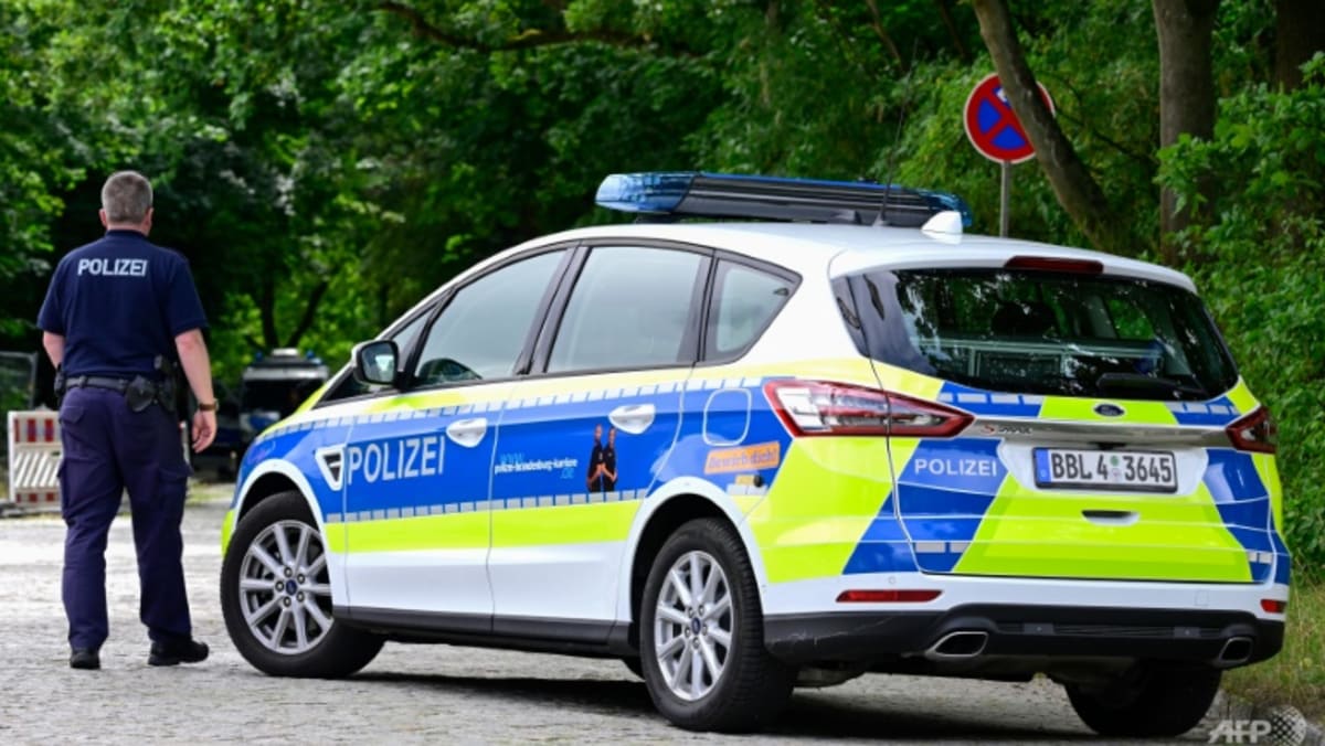 All boar, no roar: ‘Lioness’ search near Berlin ends, wild pig suspected