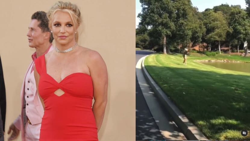 Britney Spears Does Cartwheels On Instagram As She Celebrates Judge Allowing Her To Choose Own Lawyer