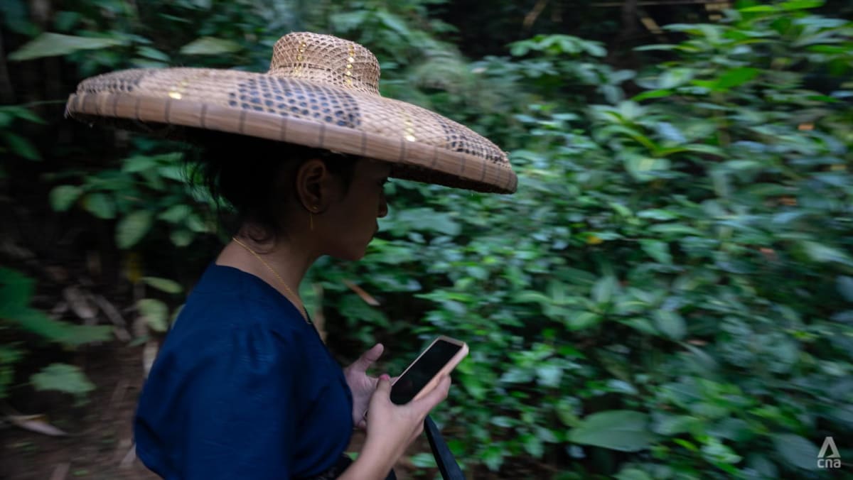 Indonesian tribe feels their tradition is under threat from smartphones; requests internet signals be halted Indonesian tribe feels their tradition is under threat from smartphones; requests internet signals be halted
