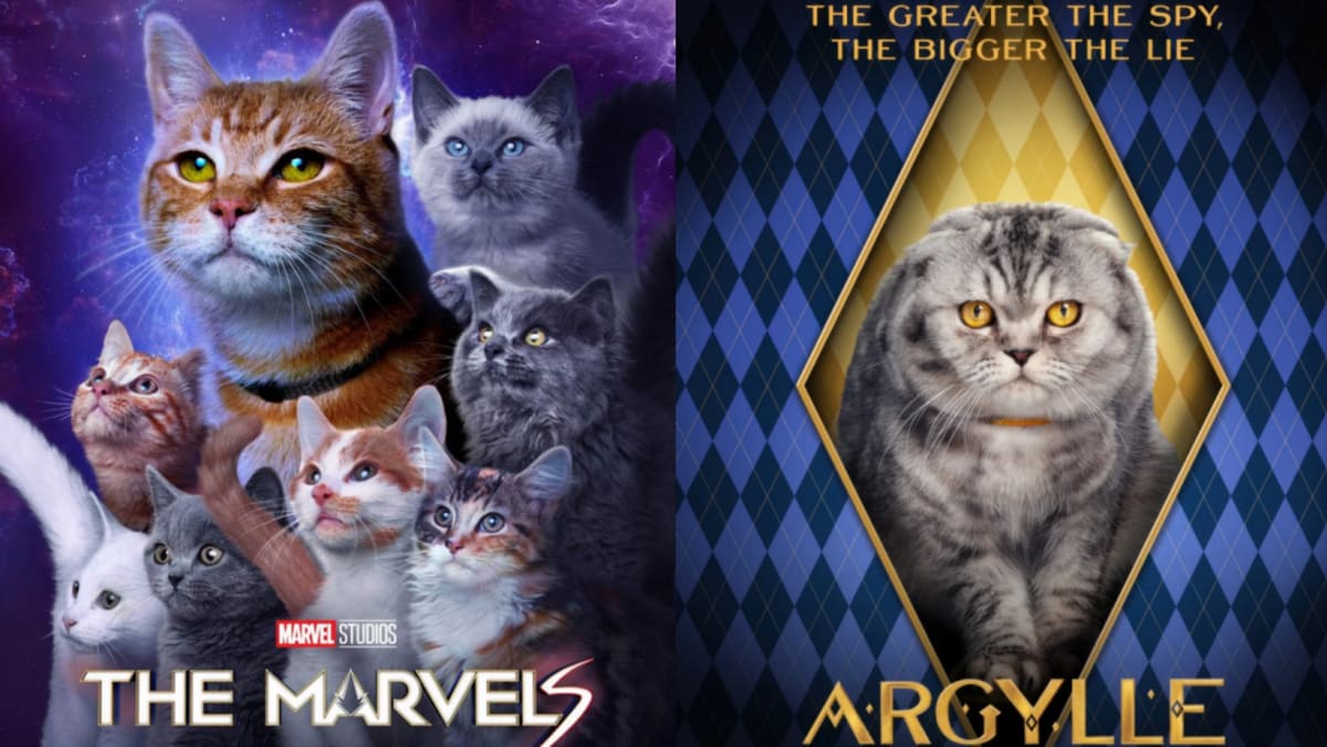 猫奴大沦陷！18只超大咖猫演员，其中1只还是“星二代”？ - vibes by 8world