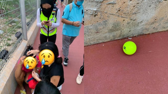 侏罗纪步道访客遭球击中 樟宜机场集团考虑装置安全网罩