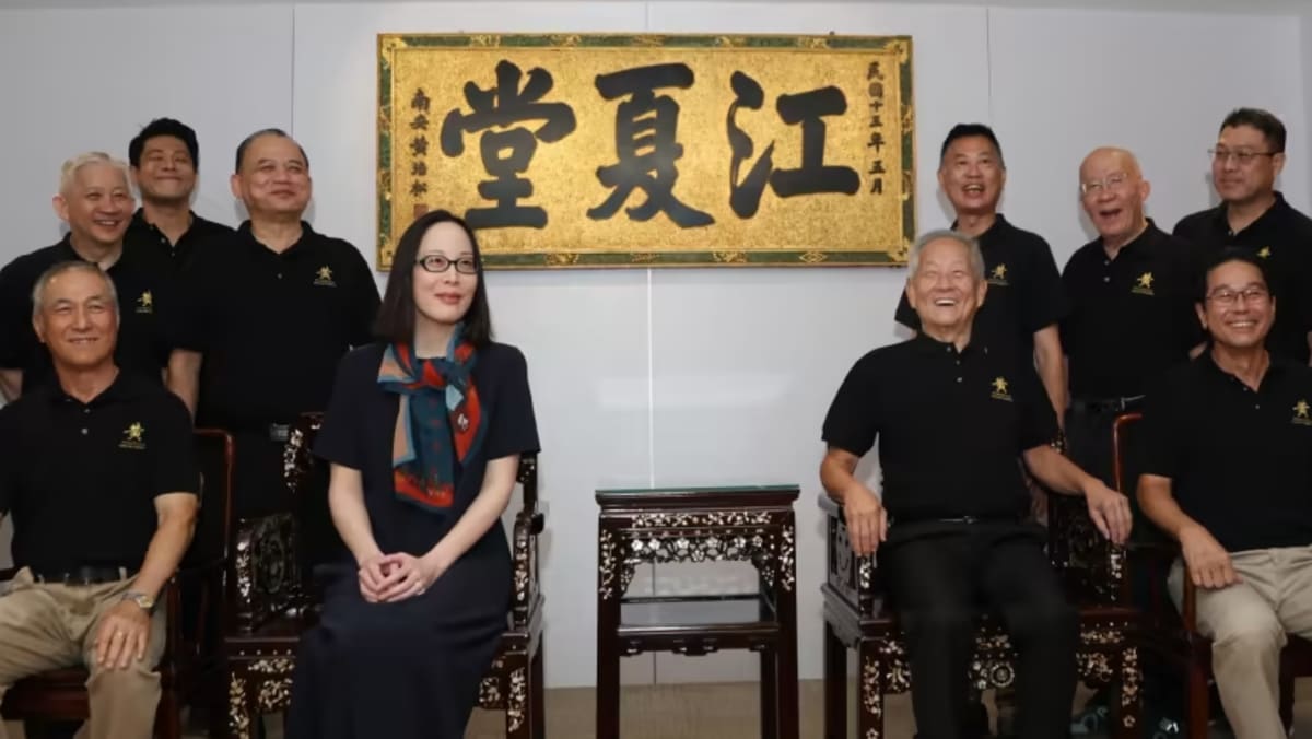 Safeguarding reserves 'not easy to understand', George Goh and Tan Kin ...