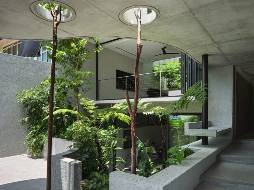 The Raumplan House: An intermediate terrace house in Singapore filled with light and greenery