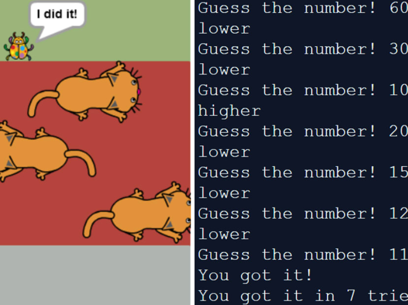 Children aged 8 to 11 will learn to code using an interactive software programme called Scratch (screenshot on the right shows a frogger-style game participants will learn to create), while children aged 12-15 will learn to code using Python (screenshot on the right shows a number-guessing game that children will learn to make).