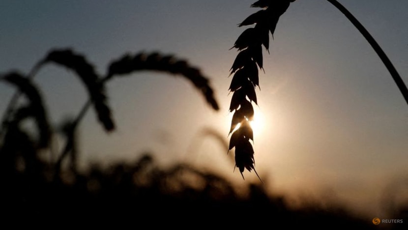 Global food export bans Global food export bans
