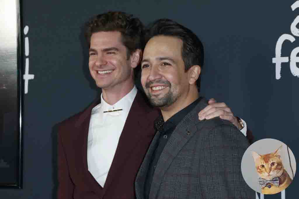 Check Out Lin-Manuel Miranda’s Reaction When My Cat Crashes Tick, Tick… BOOM! Zoom Interview Check Out Lin-Manuel Miranda’s Reaction When My Cat Crashes Tick, Tick… BOOM! Zoom Interview