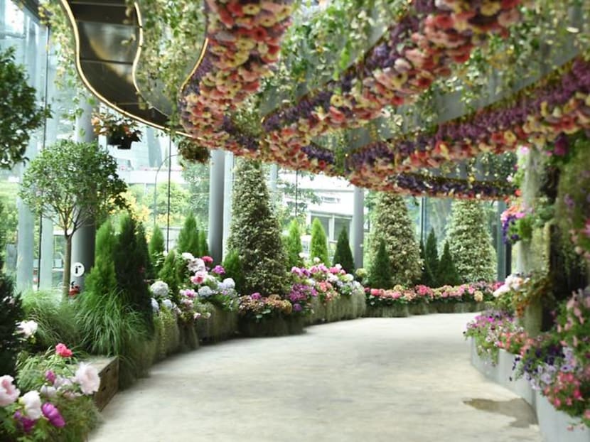 Gardens by the Bay now offering 50 per cent off tickets – perfect for school holidays Gardens by the Bay now offering 50 per cent off tickets – perfect for school holidays
