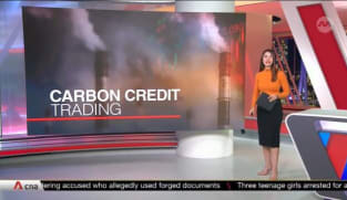 Carbon credit markets optimistic about year ahead, but challenges remain | Video