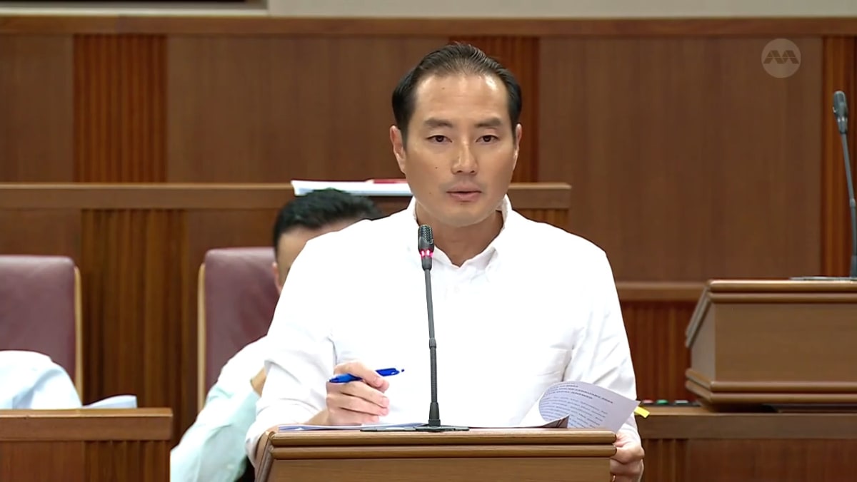 Tan Kiat How on safeguards in advertisements on social media platforms - Vimarsana News
