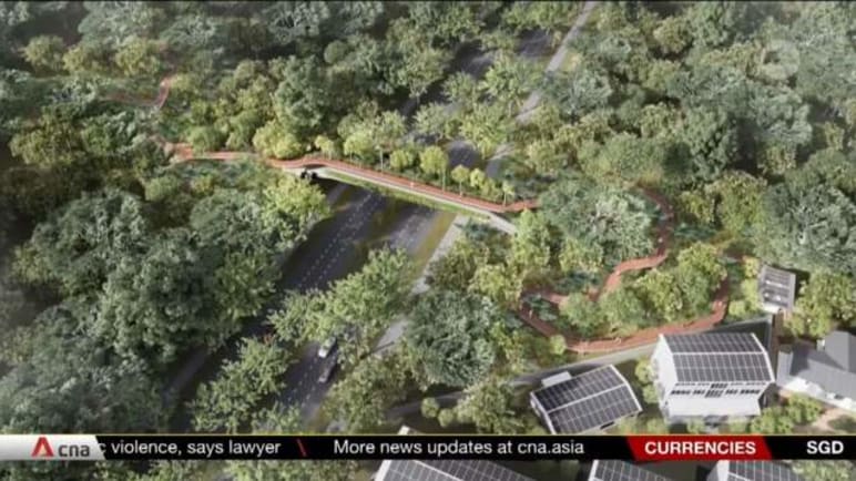 New eco-pedestrian bridge to be built across Upper Bukit Timah Road by 2026 | Video