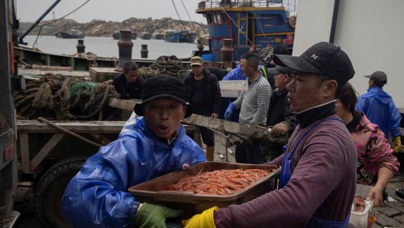 2023 04 09t051433z 1 lynxmpej3800v rtroptp 3 china taiwan fishing