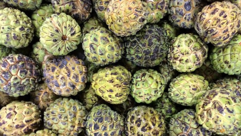 Taiwan threatens to take China to WTO in new spat over fruit Taiwan threatens to take China to WTO in new spat over fruit