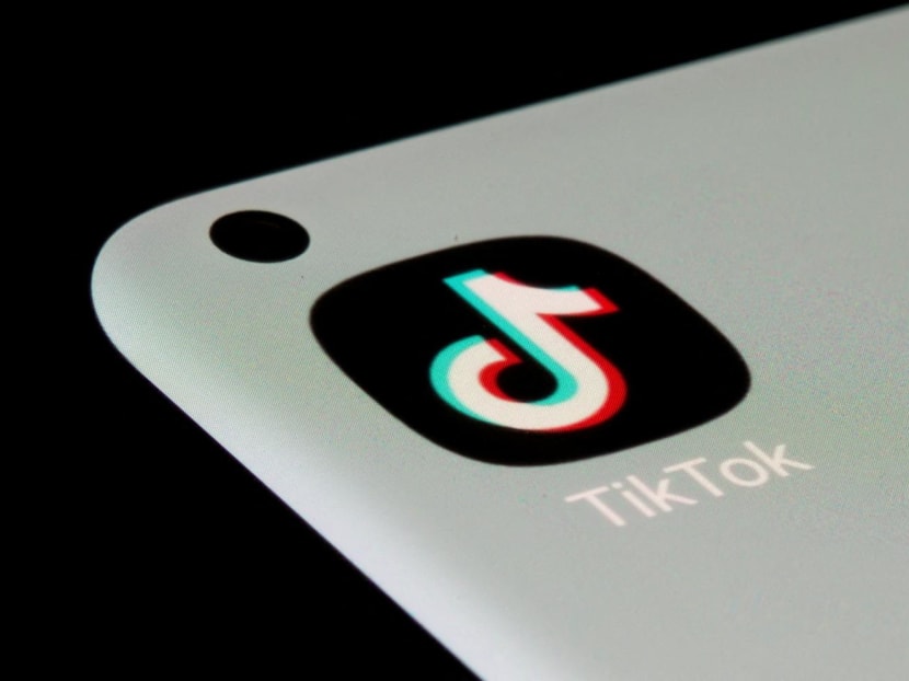 The TikTok app is seen on a smartphone in this illustration.